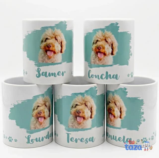 Taza personalizada con foto de perro Labradoodle y nombre del dueño sobre fondo aguamarina, regalo para amantes de mascotas